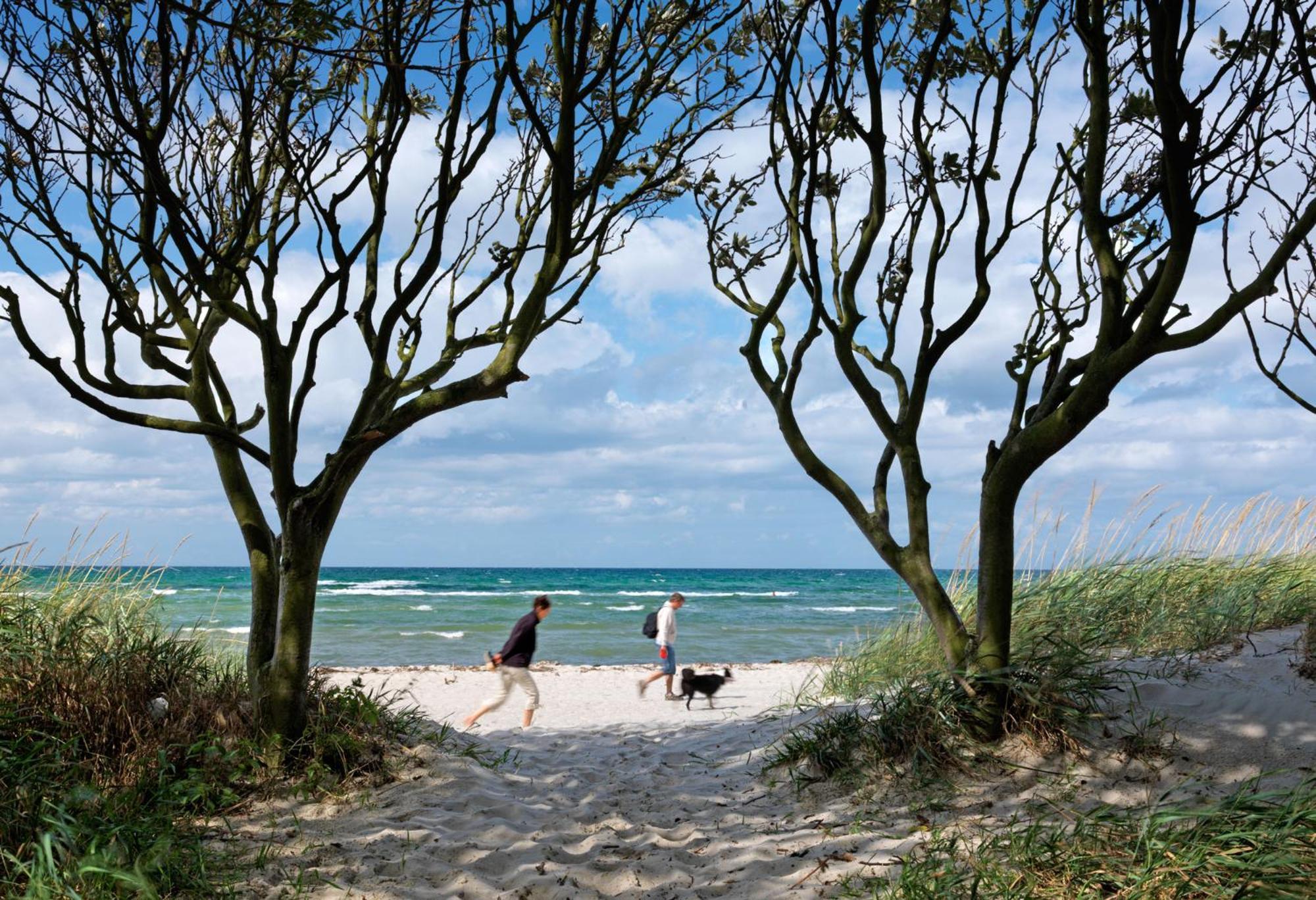 Gollwitzer Park Oase Apartment Insel Poel Bagian luar foto