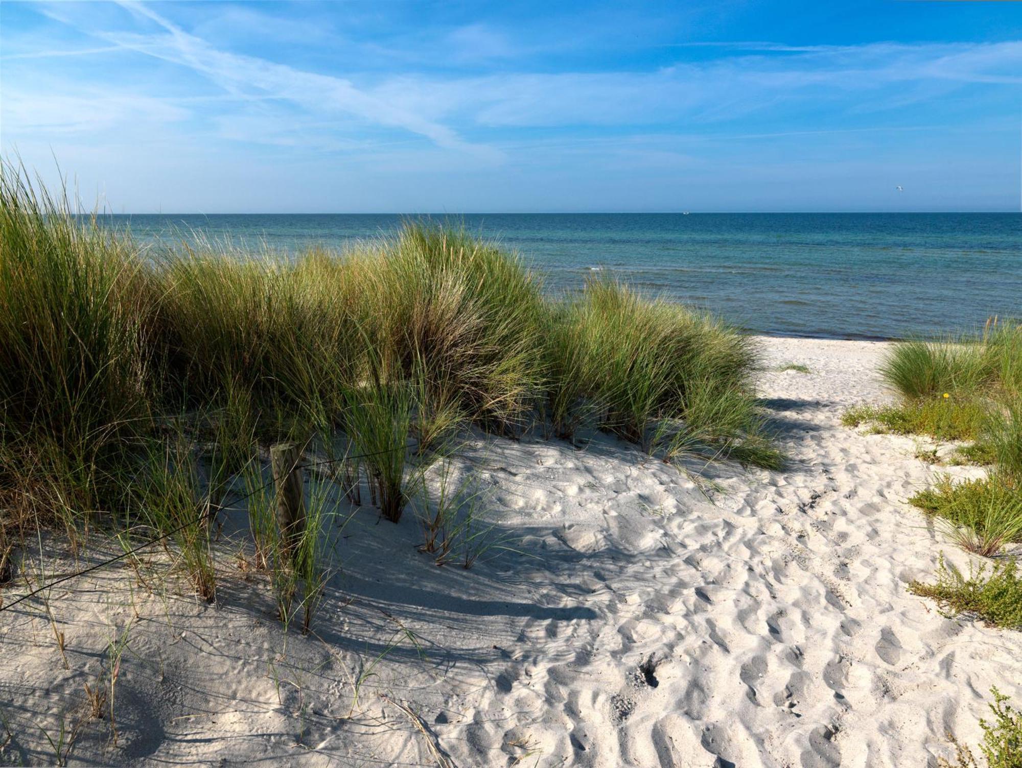 Gollwitzer Park Oase Apartment Insel Poel Bagian luar foto