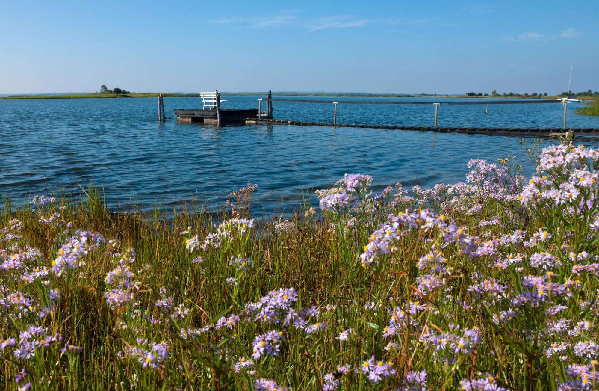Gollwitzer Park Oase Apartment Insel Poel Bagian luar foto
