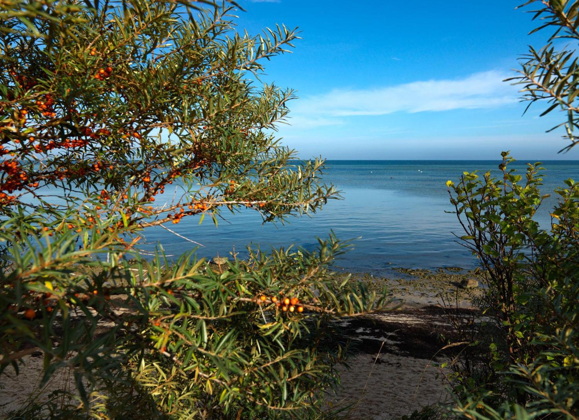 Gollwitzer Park Oase Apartment Insel Poel Bagian luar foto
